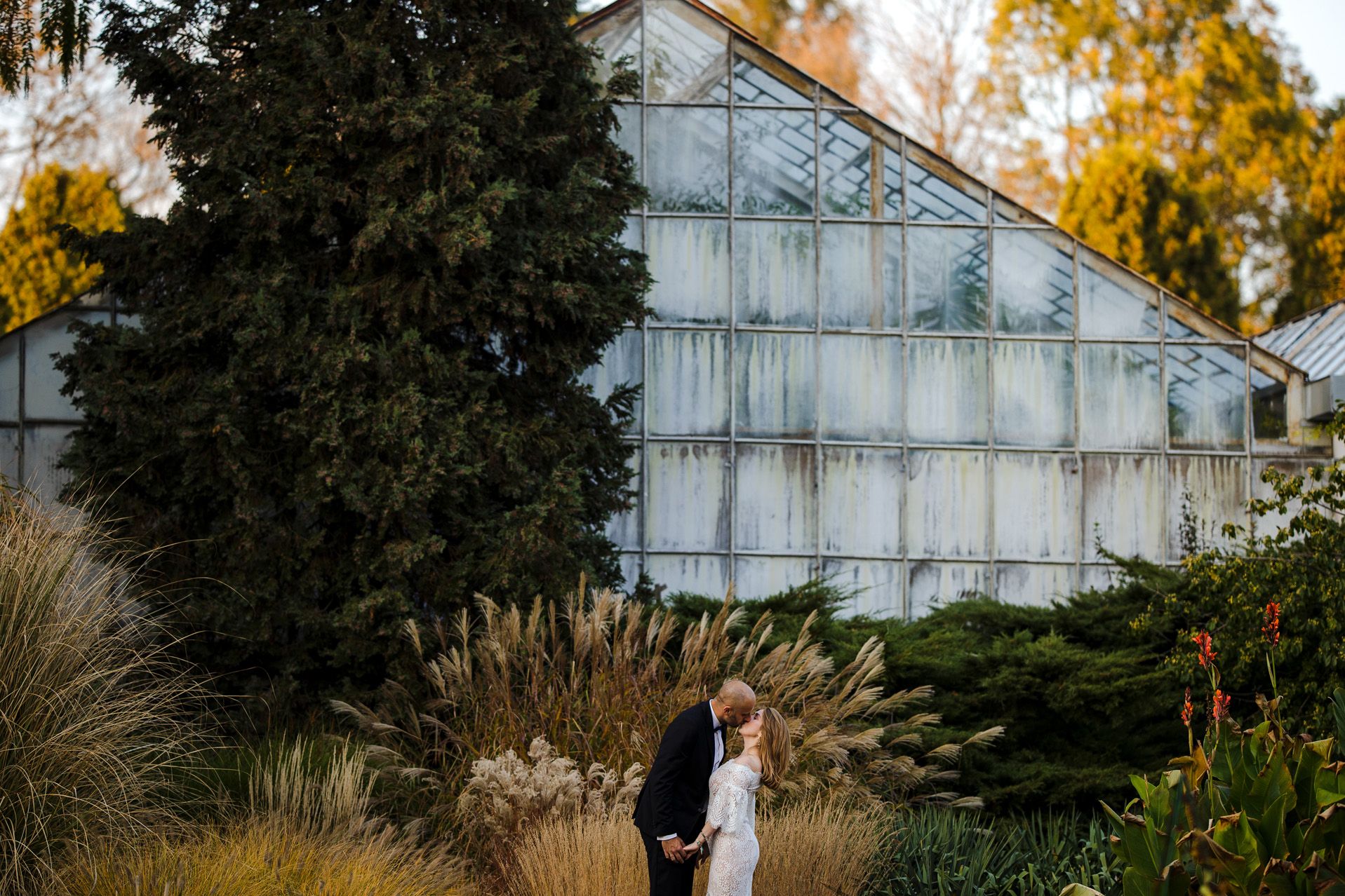 Para młoda podczas sesji ślubnej w jesiennej scenerii przy szklarni - panna młoda w białej sukni ślubnej z koronką, pan młody w czarnym garniturze, romantyczna poza wśród złotych traw i roślinności