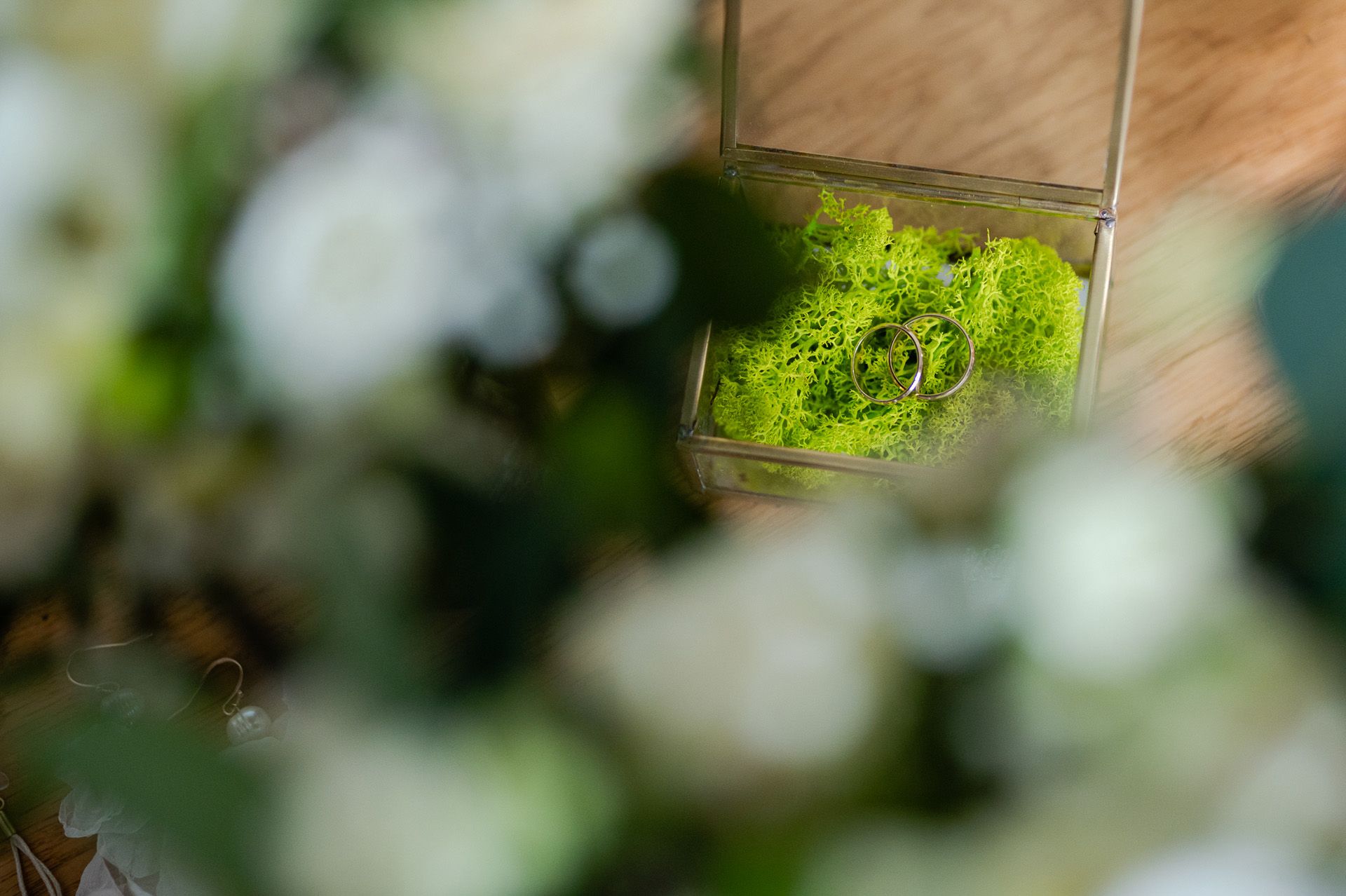 Eleganckie obrączki ślubne złożone w szklanym pudełku wypełnionym zielonym mchem na tle rozmytej zieleni